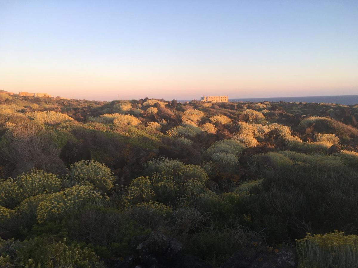 Parco Dei Sesi Bed and Breakfast Pantelleria Island Esterno foto